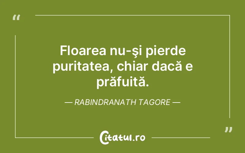 Citat Rabindranath Tagore - citate viata