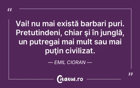 Masculinul este amestecat cu feminitatea...