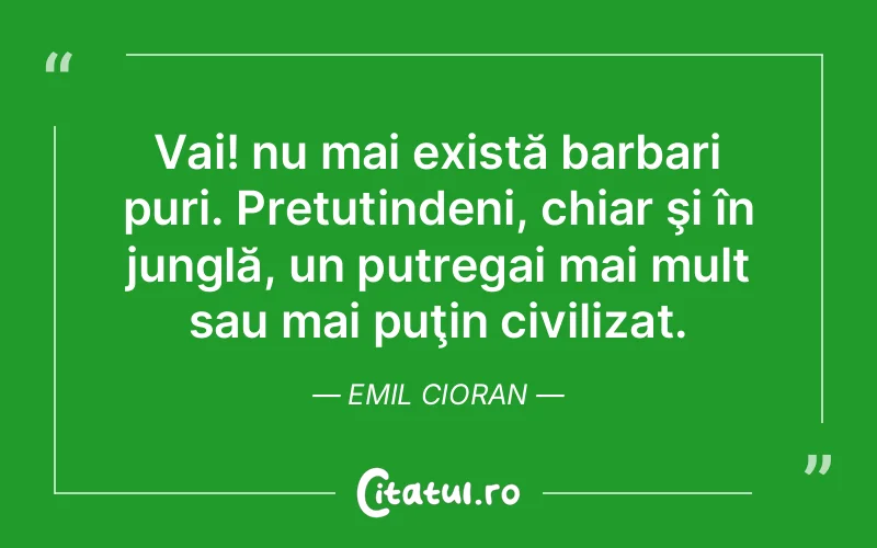 Citat Emil Cioran - citate viata