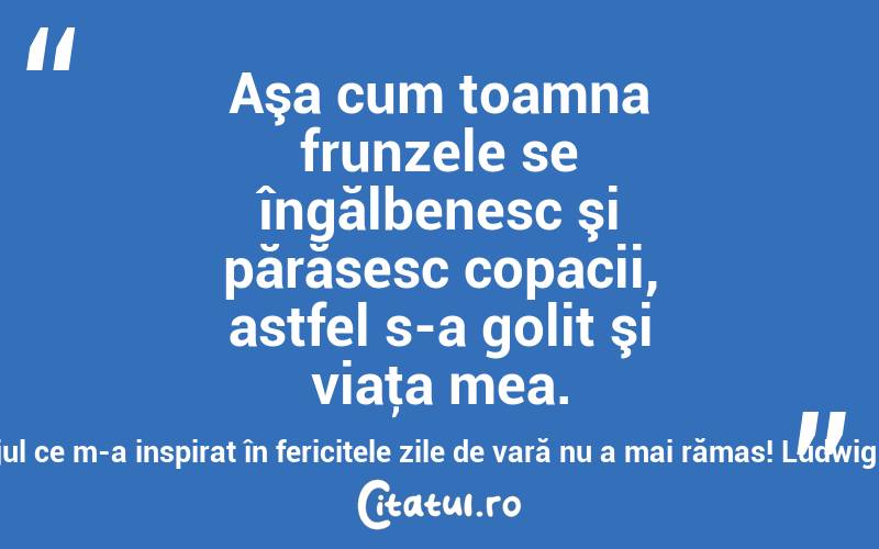 Aşa cum toamna frunzele se îngălbenesc şi părăsesc copacii, astfel s-a golit şi viaţa mea. Nimic din curajul ce m-a inspirat în fericitele zile de vară nu a mai rămas! Ludwig van Beethoven
