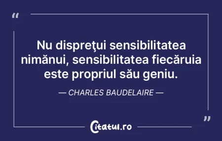 Numai un geniu poate înţelege cum treb...