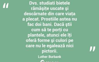 Dvs. studiati bietele rămăşiţe uscate şi descărnate din care viaţa a plecat. Prostiile astea nu fac doi bani. Dacă ştii cum să te porţi cu plantele, atunci ele îţi oferă forme şi culori pe care nu le egalează nici pictorii. Luther Burbank...