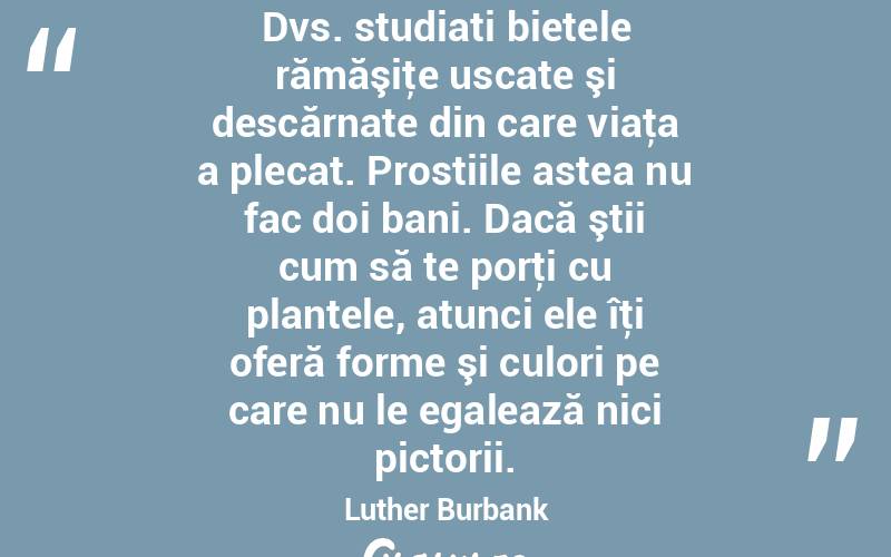 Dvs. studiati bietele rămăşiţe uscate şi descărnate din care viaţa a plecat. Prostiile astea nu fac doi bani. Dacă ştii cum să te porţi cu plantele, atunci ele îţi oferă forme şi culori pe care nu le egalează nici pictorii. Luther Burbank