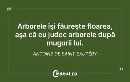 O crimă este, înainte de orice, o lips...