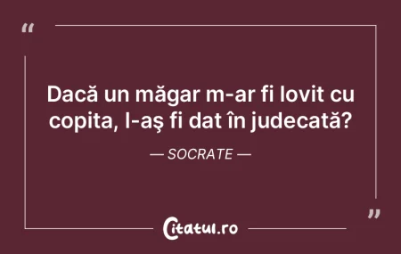 Imaginaţia galopează, judecata merge l...