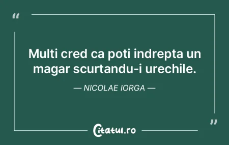 Imaginatia ne consoleaza pentru ce nu su...