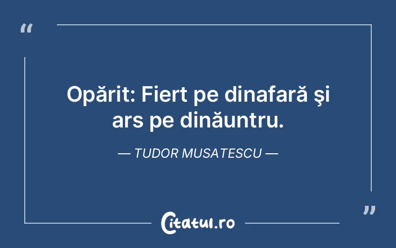 Citat Tudor Musatescu - citate viata