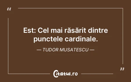 Baniţă: Pălărie modernă pentru tăr... Baniţă: Pălărie modernă pentru tăr...