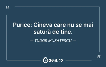 Decolteu: Aeroport pentru aterizarea pri...