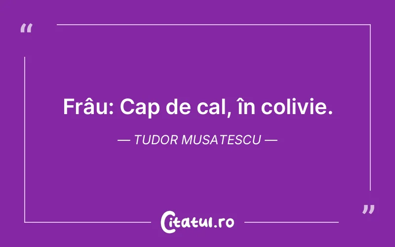 Citat Tudor Musatescu - citate viata