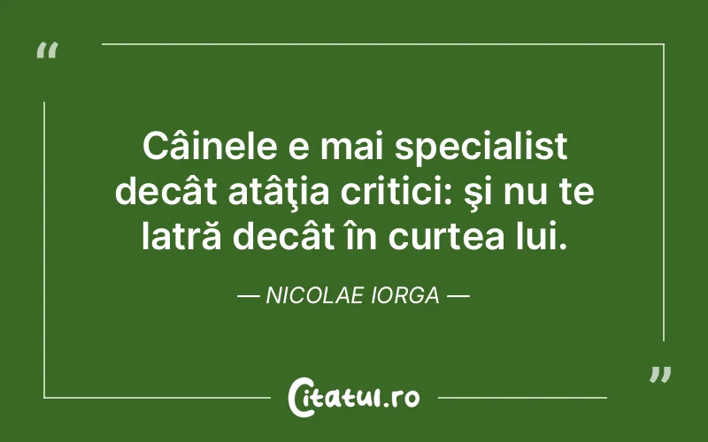Citat Nicolae Iorga - citate viata