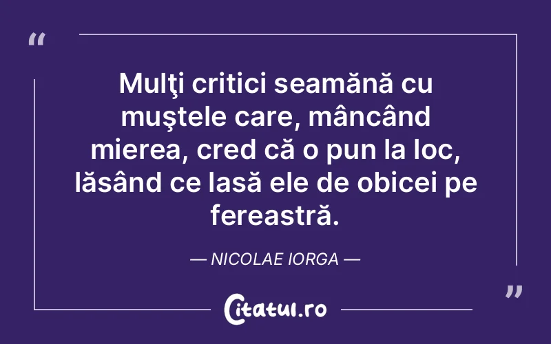 Citat Nicolae Iorga - citate viata