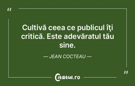 Hai să-l considerăm deci pe critic un ... Hai să-l considerăm deci pe critic un ...
