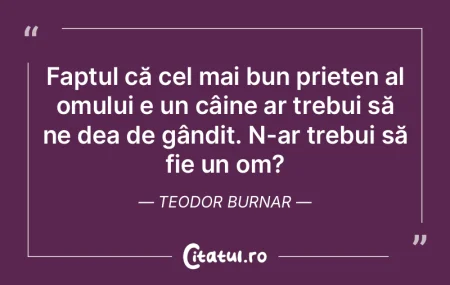 Şi Soarele are pete. Teodor Burnar