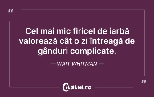 Citat Viață - Citatul.ro