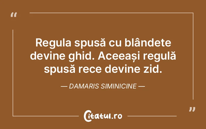 Citat Damaris Siminicine - citate viata