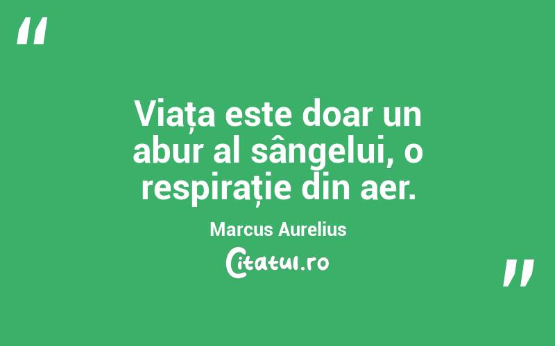Viaţa este doar un abur al sângelui, o respiraţie din aer. Marcus Aurelius

