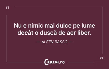 Constantin Brâncuși – pasărea cu ar... Constantin Brâncuși – pasărea cu ar...