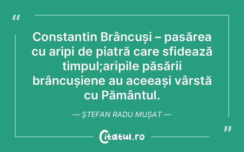 Citat Ștefan Radu Mușat - citate viata
