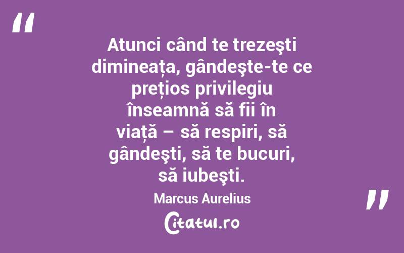 Atunci când te trezeşti dimineaţa, gândeşte-te ce preţios privilegiu înseamnă să fii în viaţă – să respiri, să gândeşti, să te bucuri, să iubeşti. Marcus Aurelius