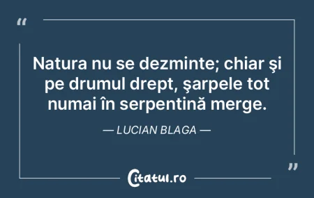 Viaţa: o plimbare prin somn. Lucian Bla...