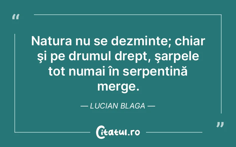 Citat Lucian Blaga - citate viata