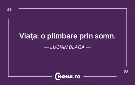 Frumosul este echitatea absolută. Const...