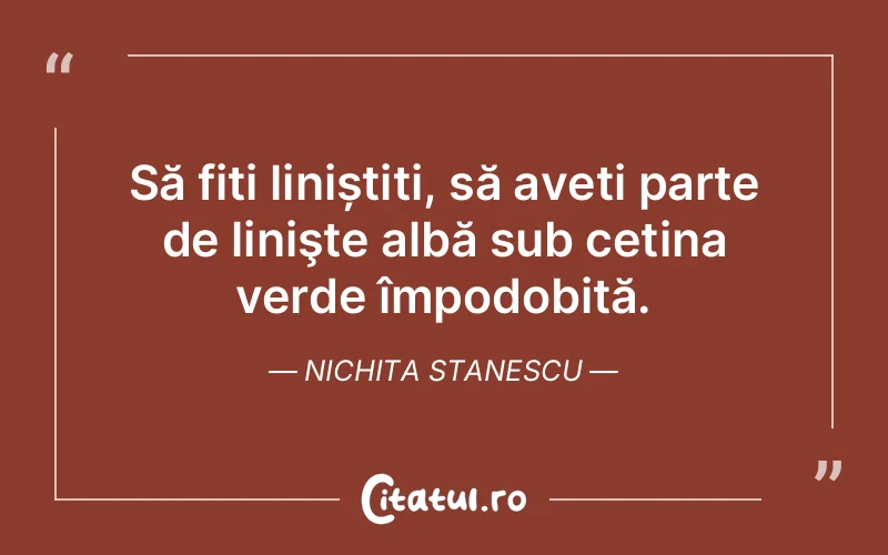 Citat Nichita Stanescu - citate viata