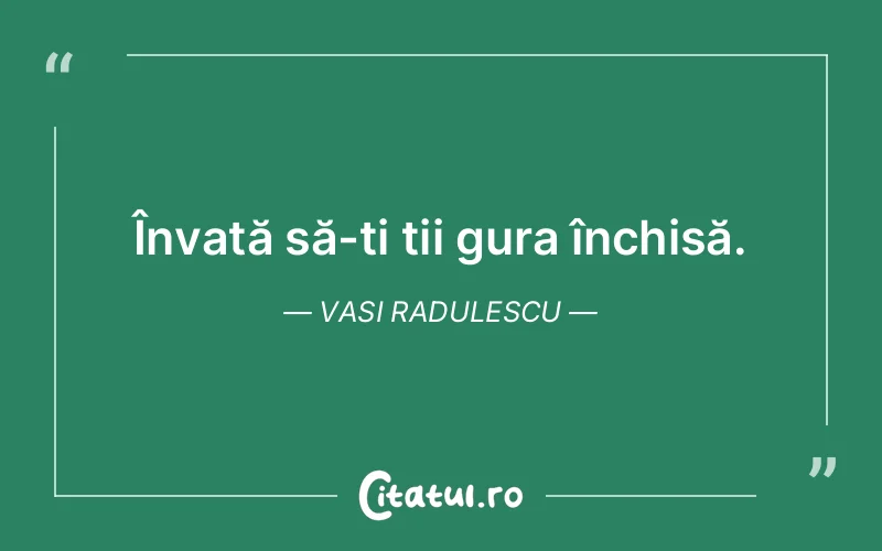 Citat Vasi Radulescu - citate viata
