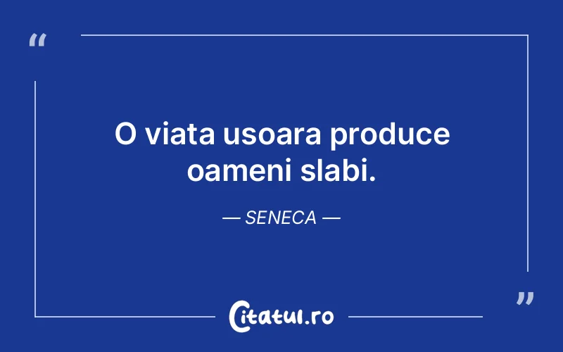 Citat Seneca - citate viata