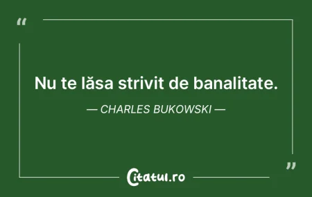 Sufletul liber este rar, dar îl recunoÈ... Sufletul liber este rar, dar îl recunoÈ...
