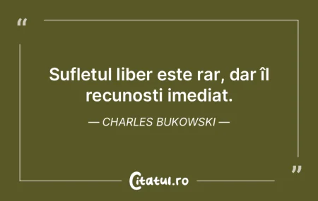 ViaÈ›a este o călătorie, nu o destinaÈ... ViaÈ›a este o călătorie, nu o destinaÈ...
