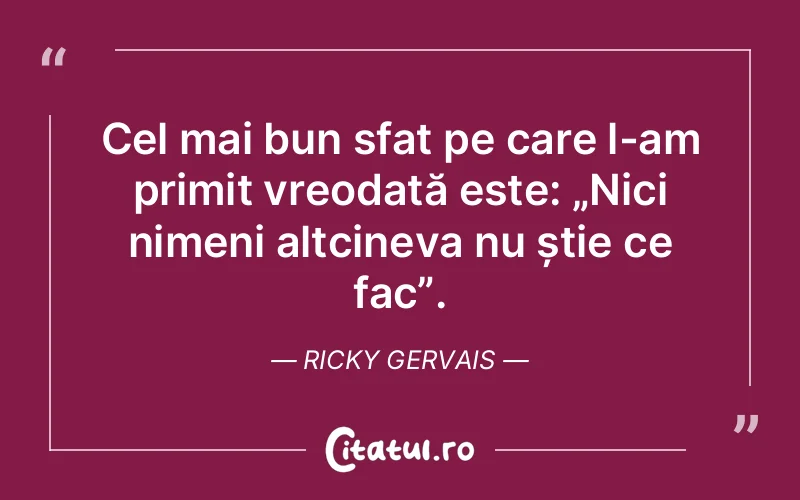 Citat Ricky Gervais - citate viata