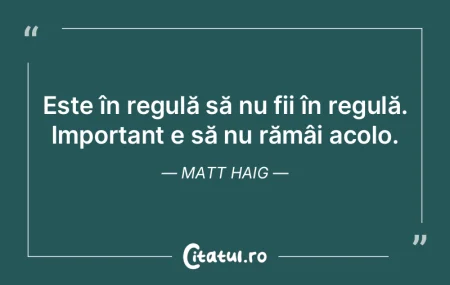 Nu am nicio misiune, în afară de aceea...