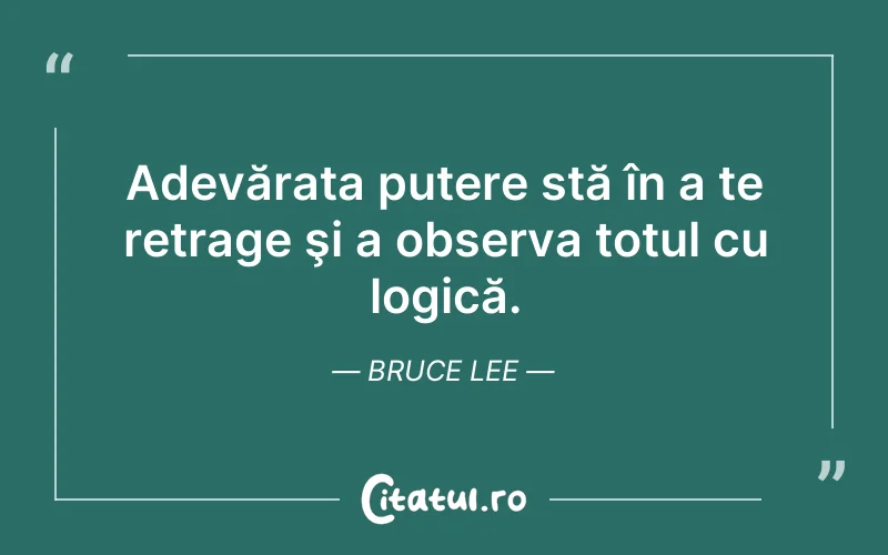 Adevărata putere stă în a te retrage şi a observa totul cu logică. Bruce Lee