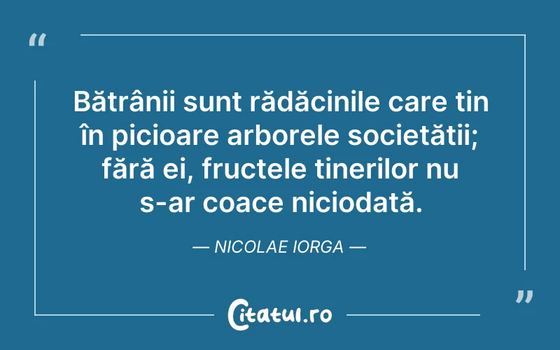 Bătrânii sunt rădăcinile care țin în picioare arborele societății; fără ei, fructele tinerilor nu s-ar coace niciodată. Nicolae Iorga