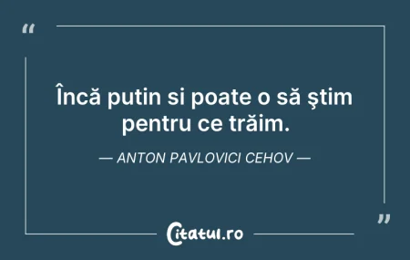 Citeste si: Regula supremă a vieții este să nu renun...