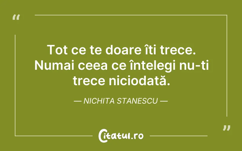 Tot ce te doare îți trece. Numai ceea ce înțelegi nu-ți trece niciodată. Nichita Stanescu