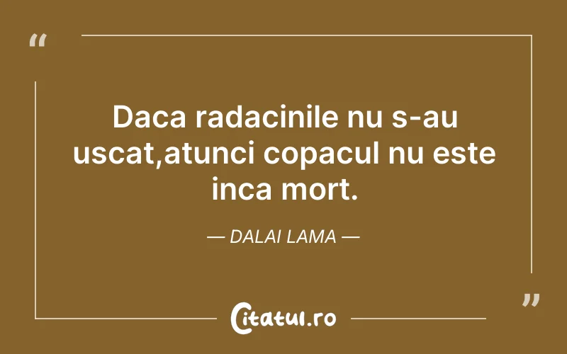 Daca radacinile nu s-au uscat,atunci copacul nu este inca mort. Dalai Lama