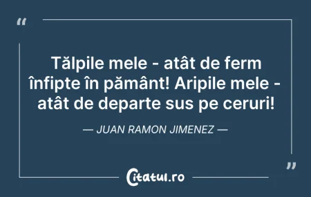 Citeste si: Mă întreb câți oameni am privit toată vi...