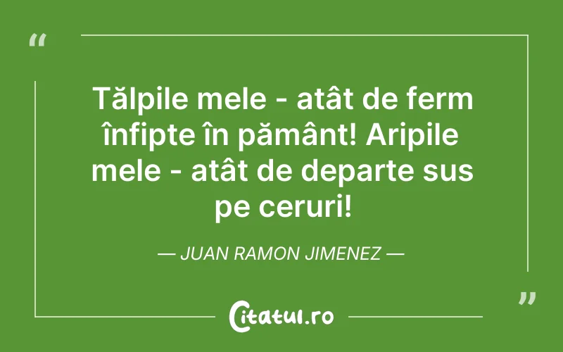 Citat Juan Ramon Jimenez - citate viata