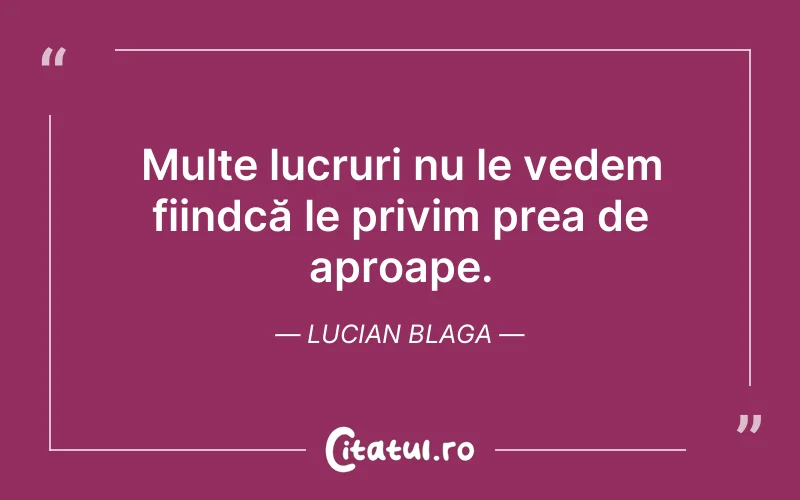 Multe lucruri nu le vedem fiindcă le privim prea de aproape. Lucian Blaga