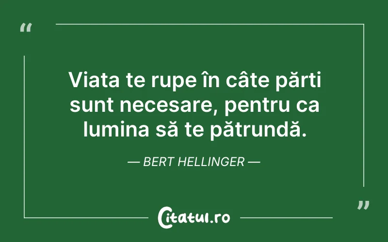 Viața te rupe în câte părți sunt necesare, pentru ca lumina să te pătrundă. Bert Hellinger
