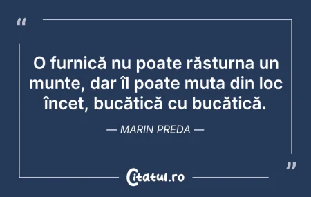 Citeste si: Ceea ce-ți e destinat, te va găsi la mom...