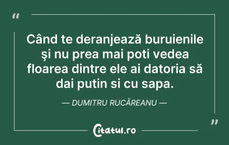 Citeste si: Am încetat să mai ajut, am încetat să ma...