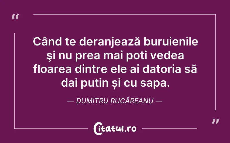Când te deranjează buruienile şi nu prea mai poți vedea floarea dintre ele ai datoria să dai puțin și cu sapa. Dumitru Rucăreanu