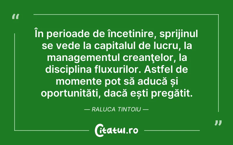 În perioade de încetinire, sprijinul se vede la capitalul de lucru, la managementul creanţelor, la disciplina fluxurilor. Astfel de momente pot să aducă și oportunități, dacă ești pregătit. Raluca Tintoiu