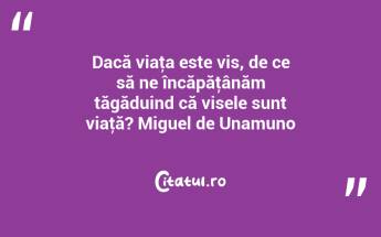 Dacă viaţa este vis, de ce să ne încăpăţânăm tăgăduind că visele sunt viaţă? Miguel de Unamuno...