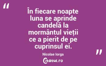 În fiecare noapte luna se aprinde candelă la mormântul vieţii ce a pierit de pe cuprinsul ei. Nicolae Iorga...