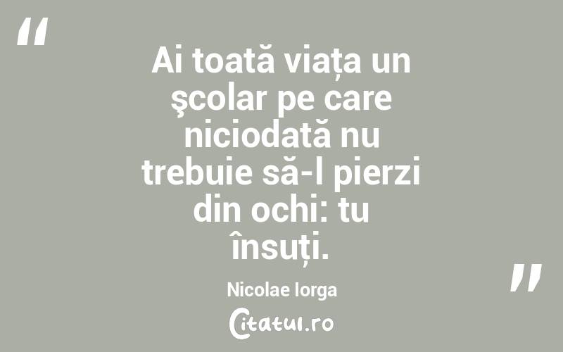 Ai toată viaţa un şcolar pe care niciodată nu trebuie să-l pierzi din ochi: tu însuţi. Nicolae Iorga